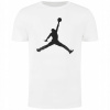 Nike Air Jordan T-Shirt Male White Jumpman L (Nike Air Jordan T-Shirt Male White Jumpman L)