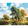 ZUTY Maľovanie podľa čísel - STROMY PRI PRIEKE Rámovanie: vypnuté plátno na rám, Rozmer: 40x50 cm