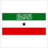 Živicová magnetka - vlajka Republika Somaliland