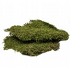 Substrát do terária mach 50g (pôvod: Tu