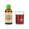 Metafit C II (cukrovka) - bylinné kapky (tinktura) 50 ml - doplněk stravy