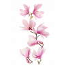 Samolepky na stenu, zrkadlo, nábytok, kvety, kvety, samolepiace Magnolia (Samolepky na stenu, zrkadlo, nábytok, kvety, kvety, samolepiace Magnolia)