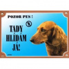 Dafiko Tabulka Tady hlídám! Jezevčík dlouhosrstý 1ks