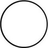 Aquanova NPF-10 O-Ring