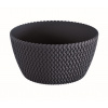 Prosperplast Mísa SPLOFY 23,6 cm - barva: antracit