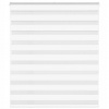 VidaXL Roleta zebra, biela, šírka tkaniny 125,9 cm, polyester