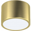 Stropné svetlo IMMAX NEO RONDATE Smart stropné svietidlo 15cm 12W zlaté Zigbee 3.0 (07127L)