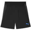 Puma Individual Cup Shorts Adults Black/Blue S