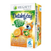 MEGAFYT Detský čaj BIO POMARANČ ovocný čaj (od ukončeného 6. mesiaca) 20x2 g (40 g)