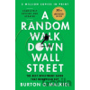 A Random Walk Down Wall Street - Burton G. Malkiel
