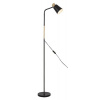 RABALUX Stojacia lampa Azim 74003