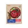 Purina One Mini Small Dog Adult hovädzie s ryžou 0,8 kg