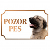 Anatólsky pastiersky pes Karabaš 