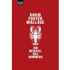 Am Beispiel des Hummers (David Foster Wallace,Marcus Ingendaay)(Brožovaná)
