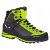 Salewa High Mountain Shoes MS Crow GTX 43 (Salewa priblížená topánky MS Crow GTX Cactus 43)