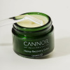Cannor Konopný regeneračný balzam CBD, 50 ml