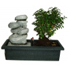 Izbová bonsai - Sagerethia thea 582 - fontána funkčnou súčasťou čerpadielko