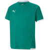 Puma teamLIGA Jersey Jr. 704925 05 (131309) Black/Green 128cm