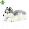 Eco Fiendly Rappa pes husky ležící 30 cm