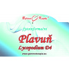 Plavuň D4 (Lycopodium) - bylinné kapky (tinktura) 30 ml