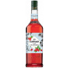 GIFFARD Barmanský sirup Brusnica 1L na koktaily