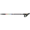 Fizan nordic walking paličky NW SPEED junior (do 2021) | farba: barevná, model 2020