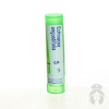 Echinacea Angustifolia gra.1 x 4 g 5CH