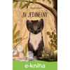E-kniha Jsi jedinečný - Anežka Stará