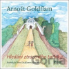 Hledání ztraceného tatínka - Arnošt Goldflam
