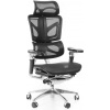 SEGO kancelářská židle WINGS černá