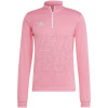 adidas Entrada 22 Training Top M HC5048