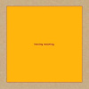 2CD Swans: Leaving Meaning.