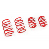 Športové pružiny MTS Technik pre Seat Ibiza II FL 07/99 - 03/02, 20 mm / 20 mm