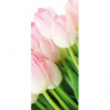 Dverová fototapeta - DV0033 - Tulipány 91cm x 211cm - Vliesová fototapeta
