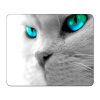 LINARTS Cat Eyes podložka pod myš, 23x19cm, PVC