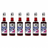 Sada 6x barmanský sirup RIOBA na nápoje JAGODA 0,7 l