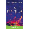 E-kniha Z popela - Aly Martinez