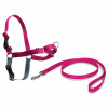 PetSafe Easy Walk Harness Raspberry Pink - postroj a vodítko pre psa, ružová sada - L