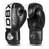 DBX Bushido B-2V20