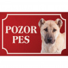 Anatólsky pastiersky pes Karabaš 