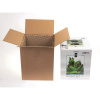Aquael Shrimp Smart Day & Night akvarium set biely 29 x 29 x 35 cm, 30 l