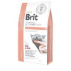 BRIT VD Brit Veterinary Diets Cat GF Renal 2 kg