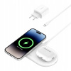 Belkin WIZ021vfWH