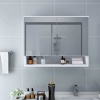 vidaXL LED kúpeľňová zrkadlová skrinka biela 80x15x60 cm MDF 323604