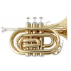 SOUNDSATION STPGD-10P