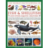 World Encyclopedia Of Fish & Shellfish And Other Aquatic Creatures
