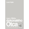 Vidieť v Bohu dokonalého… (Louie Giglio)