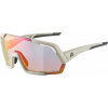 ALPINA Okuliare ROCKET QV cool-grey mat