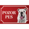 Anglický buldog - Kovová tabuľka POZOR PES