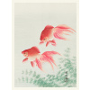 Plagát, Obraz - Two Veil Goldfish, Ohara Koson, 30 × 40 cm